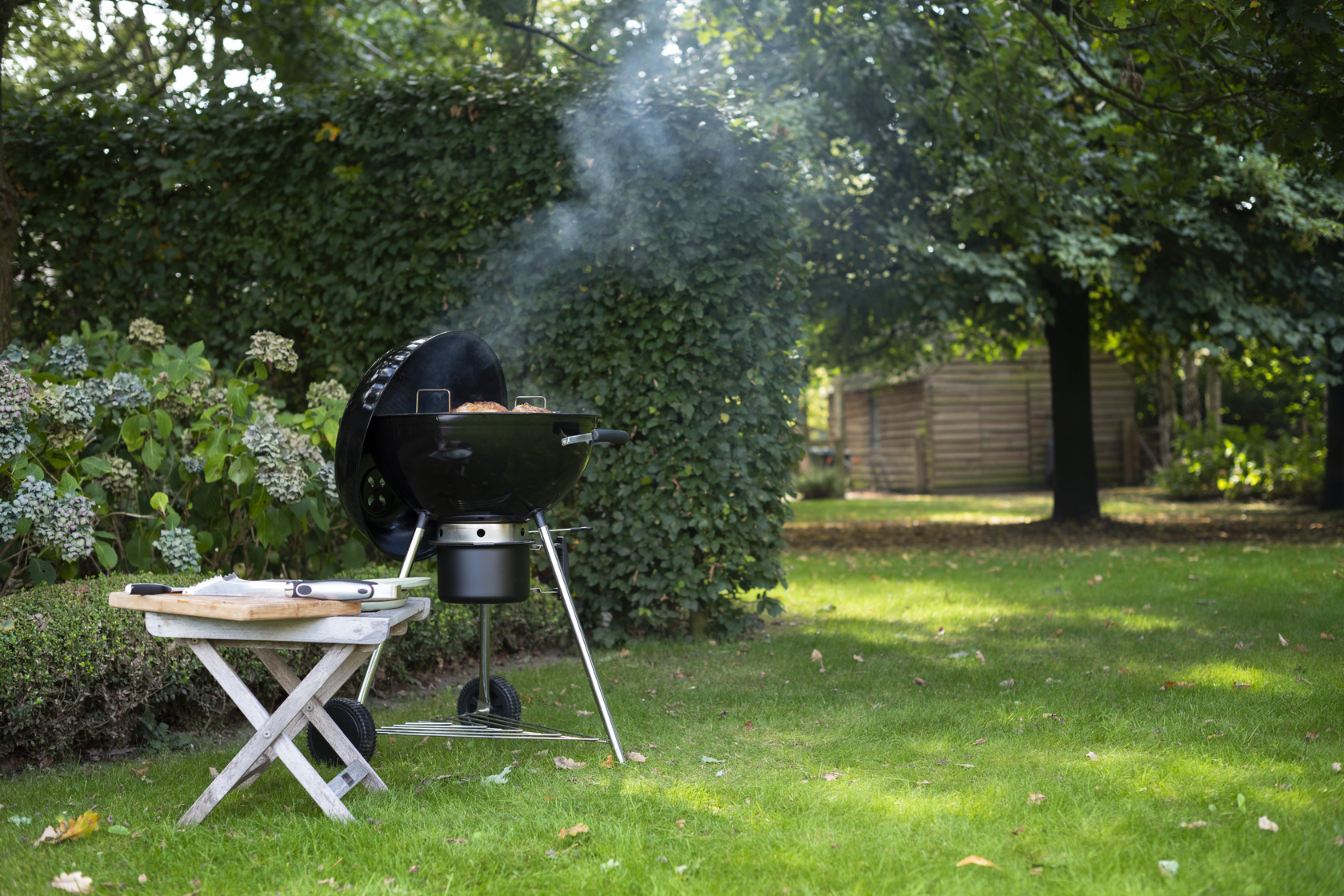 Het basismateriaal voor een BBQ